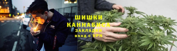 сатива Володарск