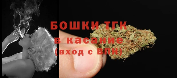 сатива Володарск