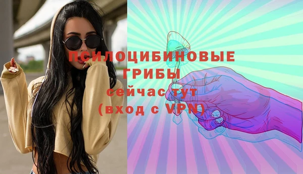 сатива Володарск