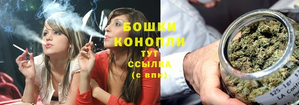 сатива Володарск