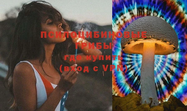 spice Вязьма